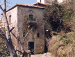 lustra