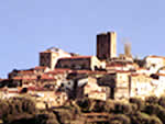 novi