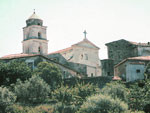 perdifumo