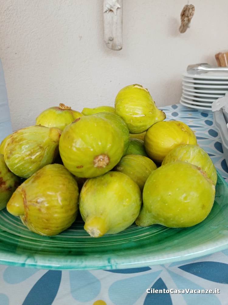 terrazzo Aurora's House