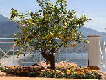 foto 8 di Le Ruve Bianche Residence & Resort Residence a Villammare
