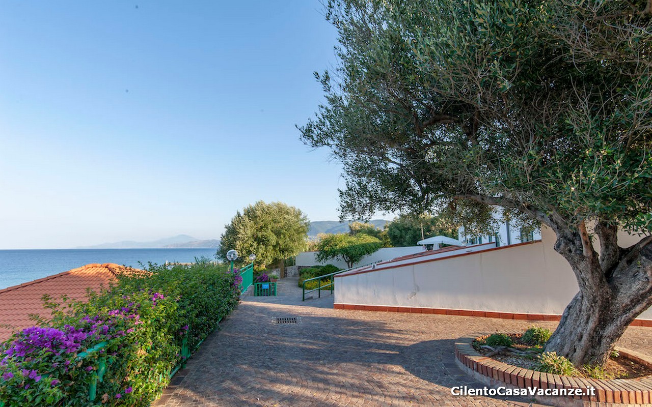 Residence sul Mare - CASA PALINURO VACANZE Residence Palinuro
