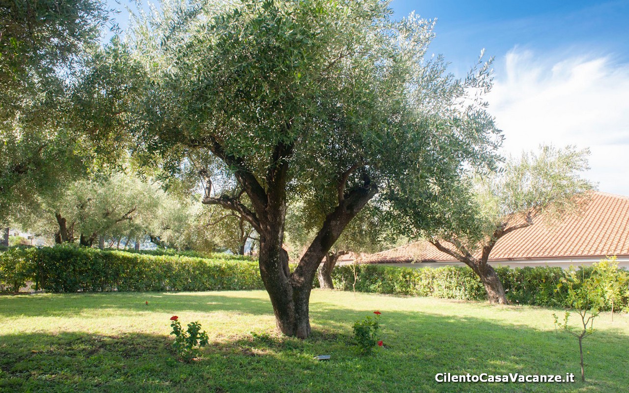giardino Residence sul Mare - CASA PALINURO VACANZE
